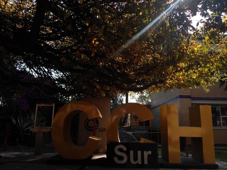 CCH SUR