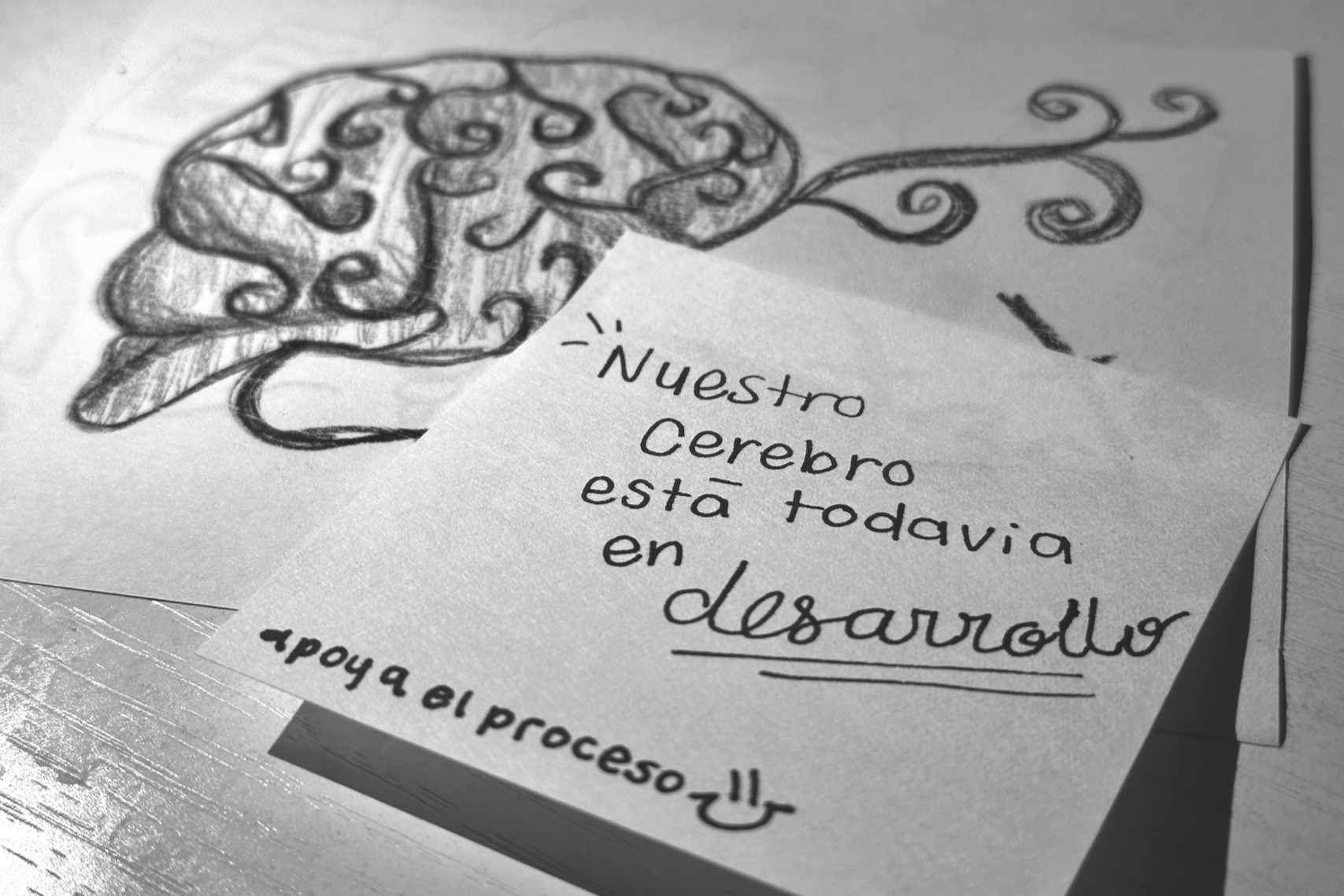 desarrollo